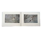 Rosemary Laing: Photographs